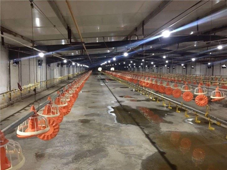 Zoom Prefabricated Heat Proof Hen House /poultry Farm House Thumbnail Image Prefabricated Heat Proof Hen House /poultry Farm House Thumbnail Image Prefabricated Heat Proof Hen House /poultry Farm House Thumbnail Image Prefabricated Heat Proof Hen House /poultry Farm House Thumbna